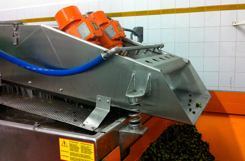 Fra-oliven-til-olivenolje