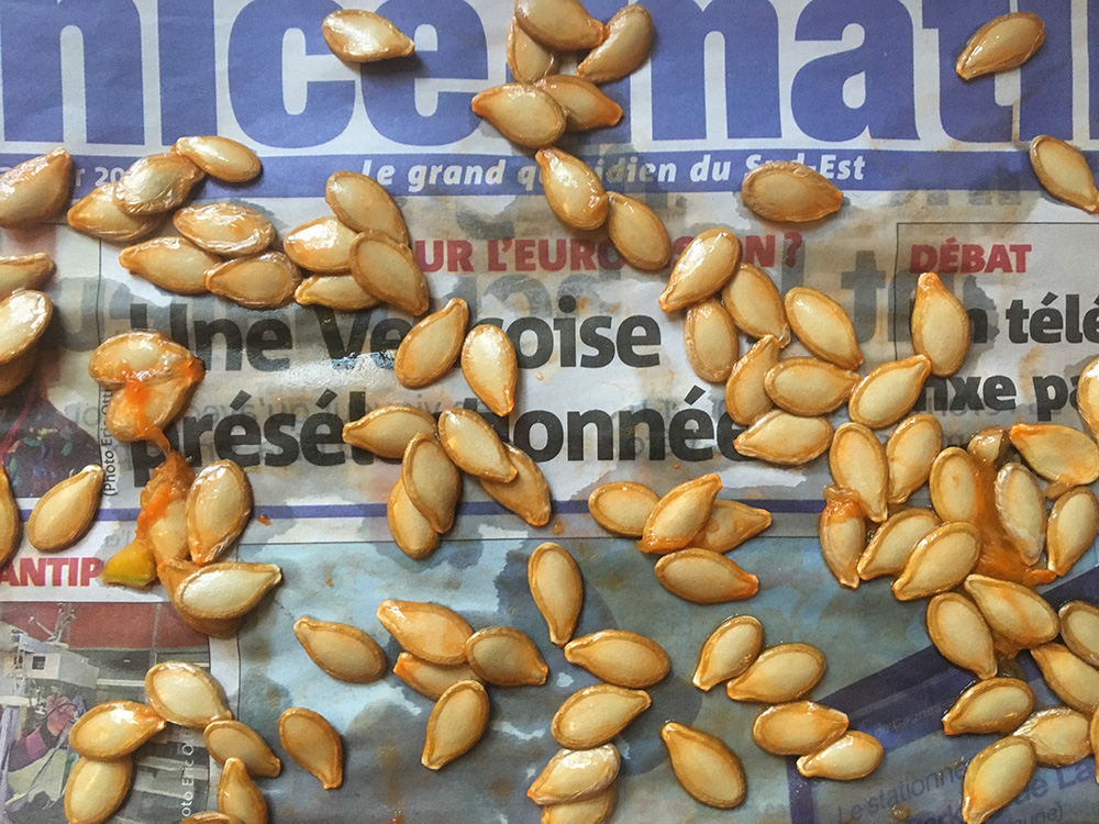 Ristede-gresskarkjerner