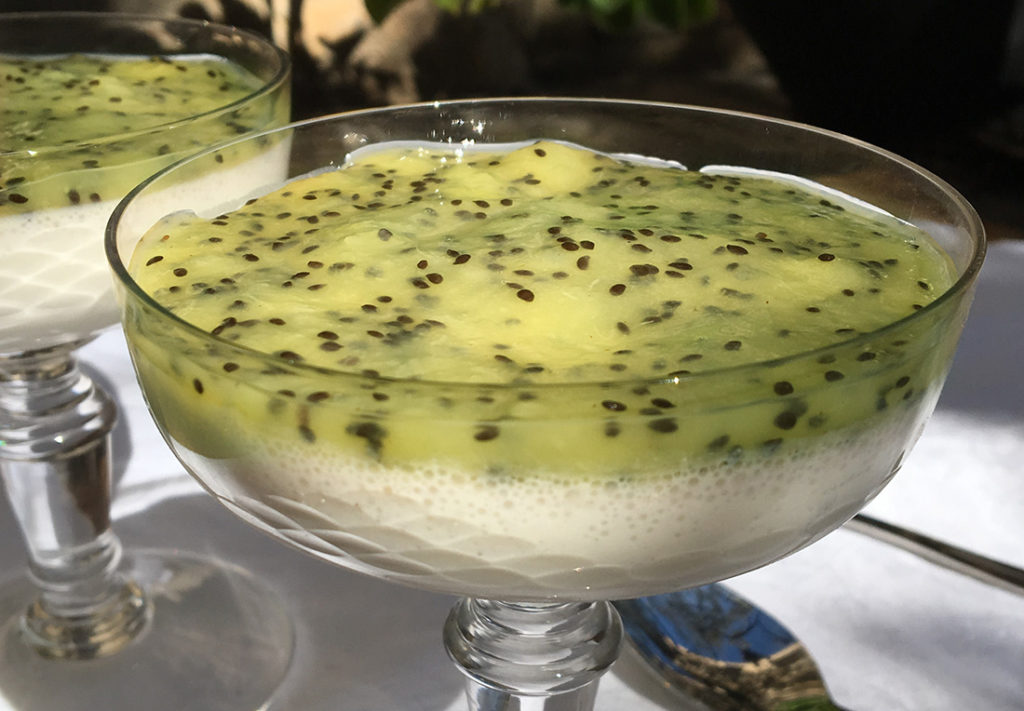 LETT-PANNACOTTA-MED-SYRLIG-KIWI