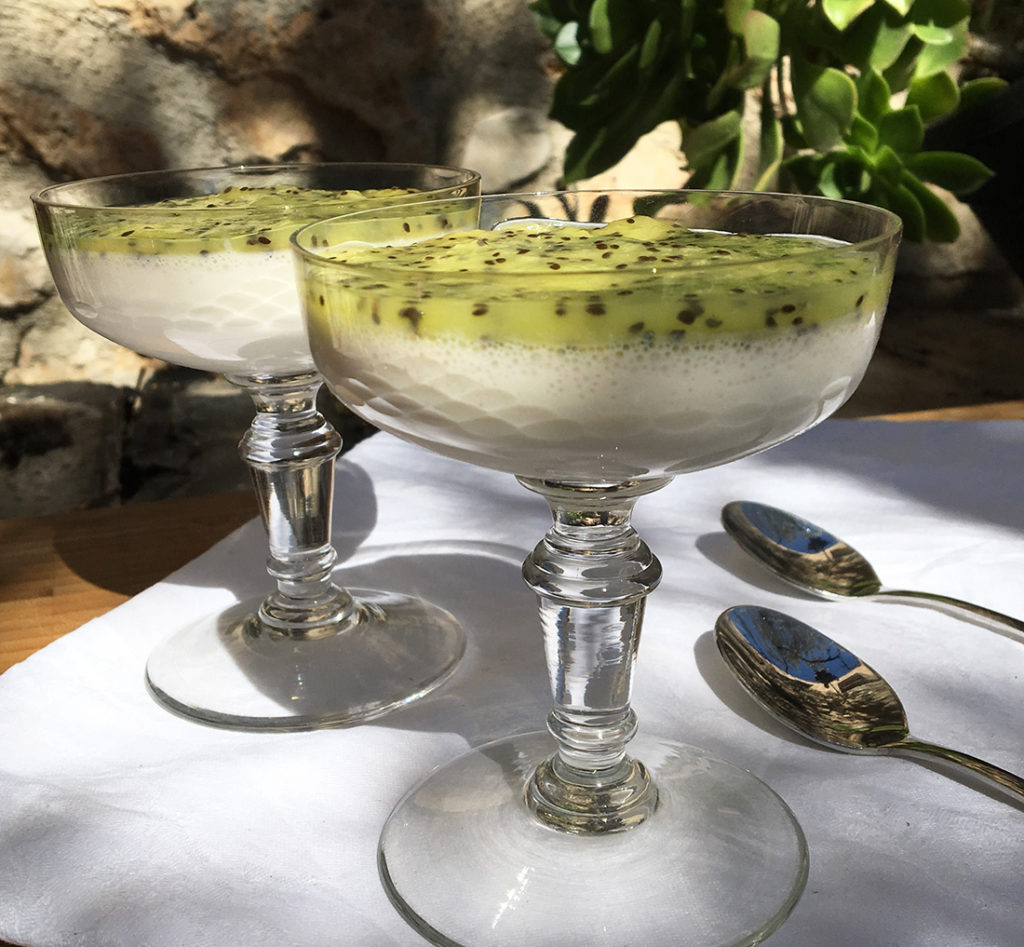 LETT-PANNACOTTA-MED-SYRLIG-KIWI