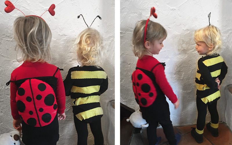 Karneval Marihøna og bien