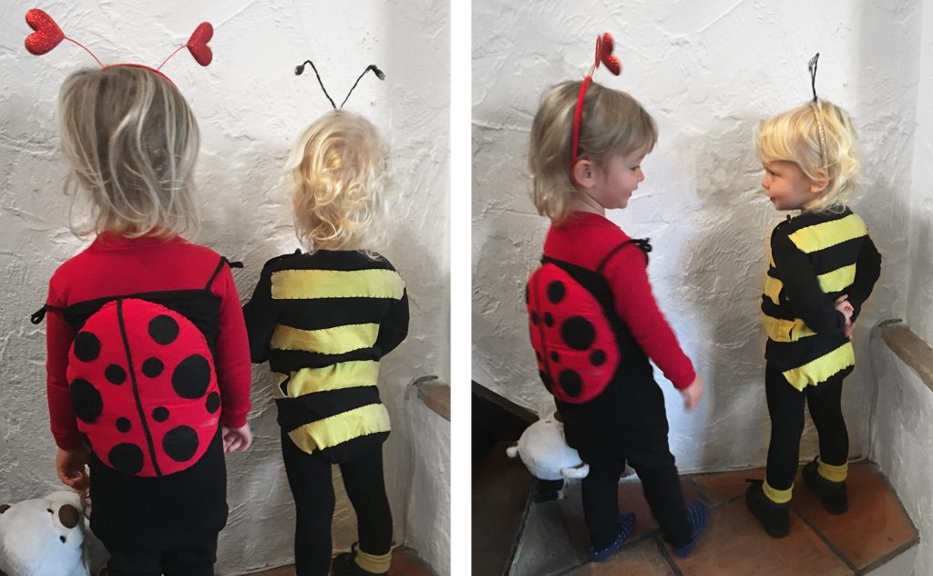 Karneval marihøna og bien