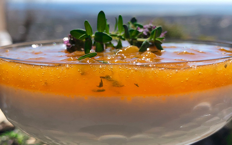 Lett og solgul pannacotta med aprikos og timian
