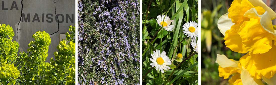 Påsketradisjoner, flvende klokker og den store eggejakten