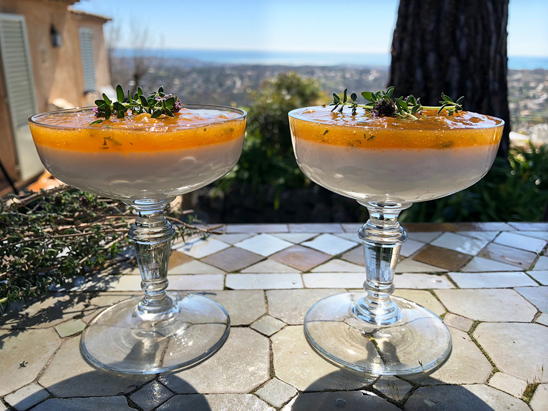 Lett og solgul pannacotta med aprikos og timian