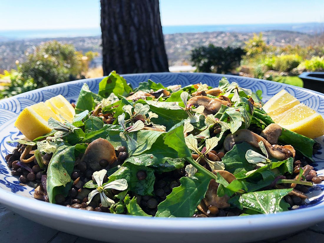 Frisk og sommerlig linsesalat med sopp