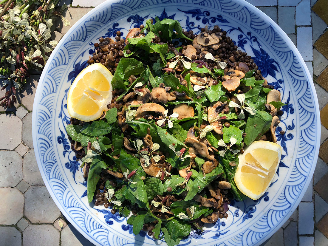 Frisk og sommerlig linsesalat med sopp