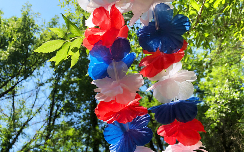 Norsk i Frankrike - 17 mai