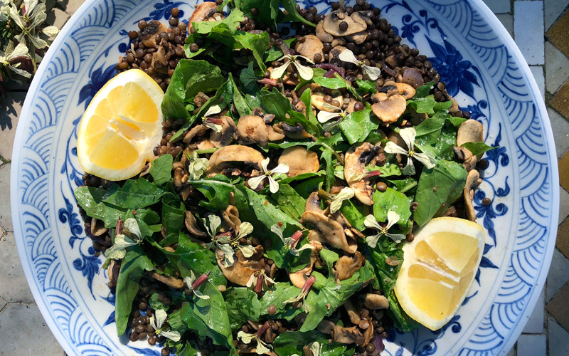 Frisk og sommerlig linsesalat med sopp