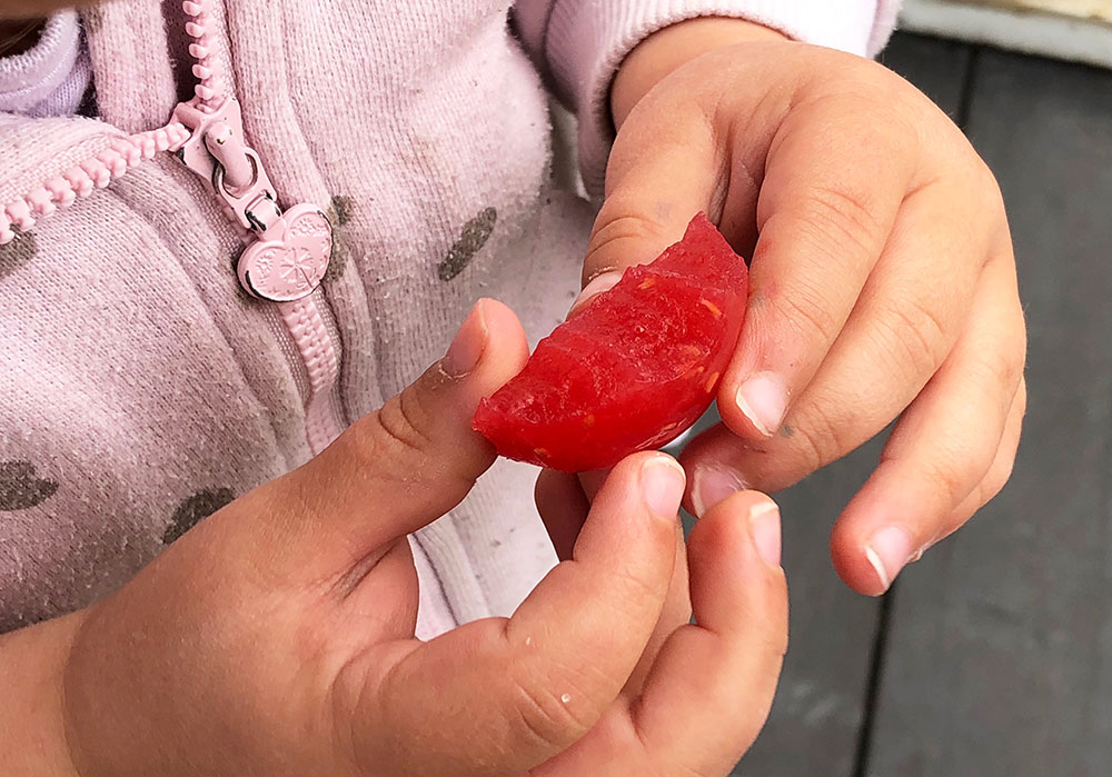 Gelegodis med bringebær