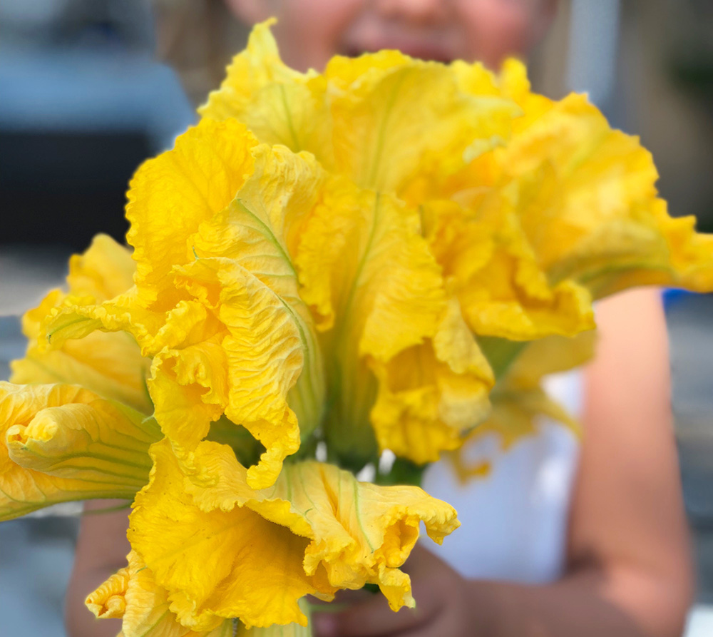 Friterte squashblomster