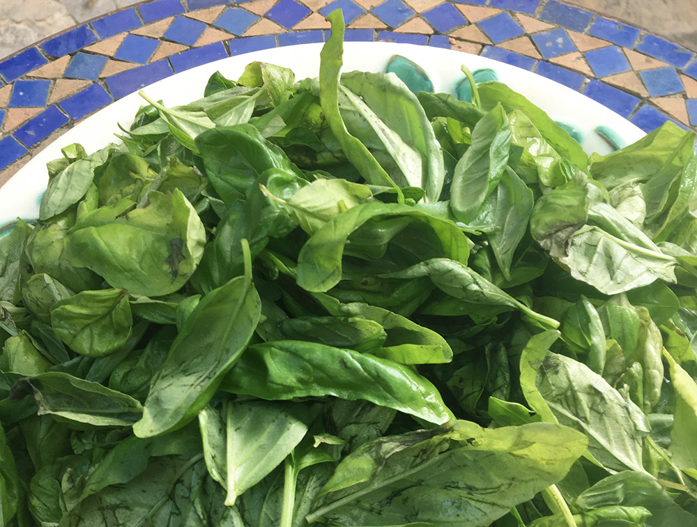 Hjemmelaget klassisk pesto