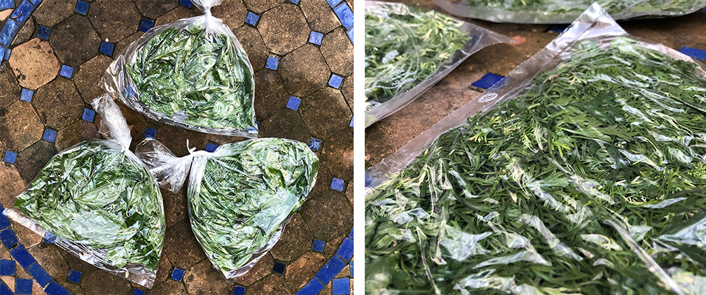 Konservering av krydderurter