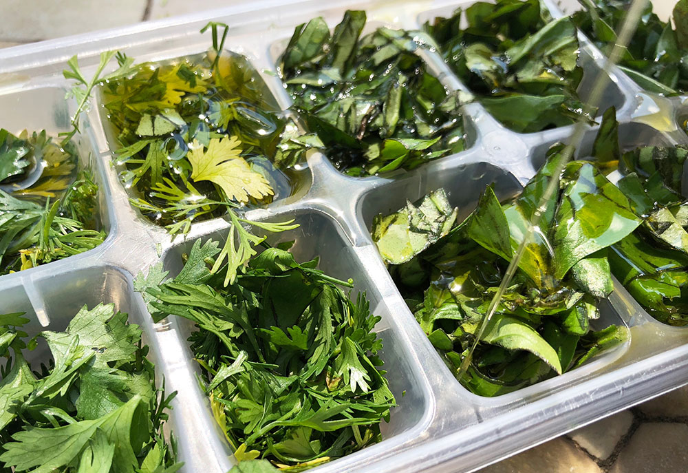 Konservering av krydderurter