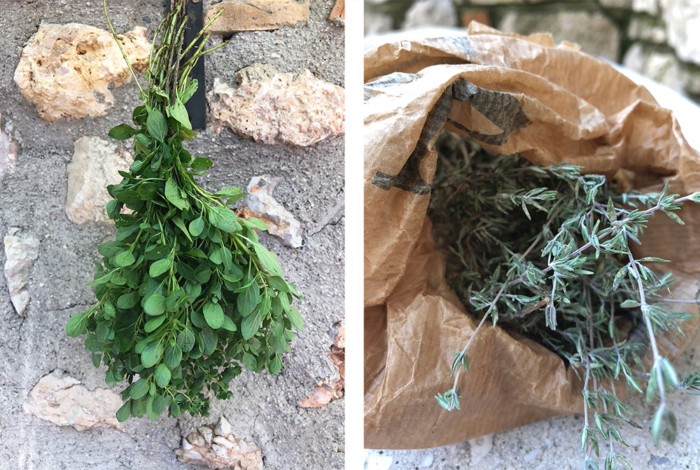 Konservering av krydderurter