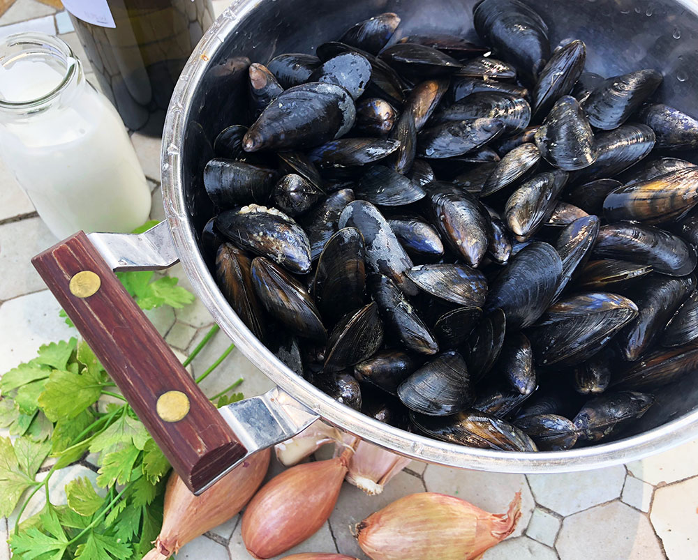 Moules à la Eva i Provence - Perfekte blåskjell har gang!