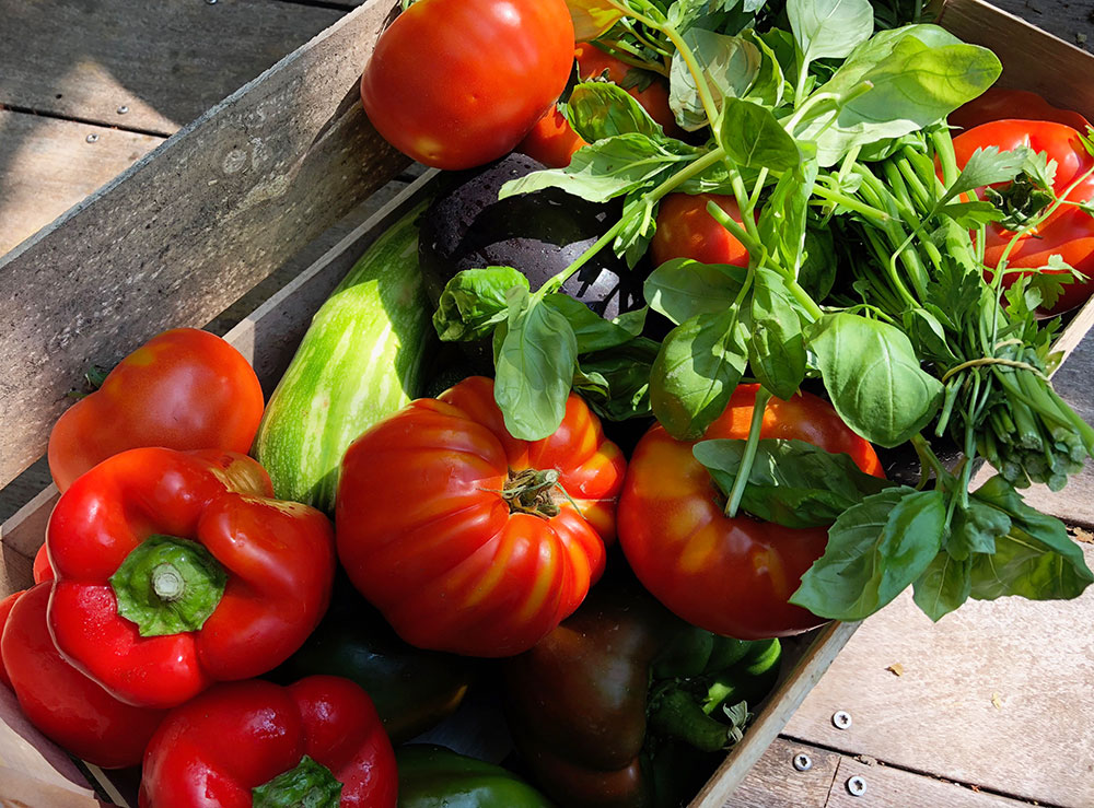 Rik og respektabel ratatouille