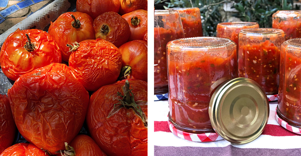 Hjemmelaget tomatcoulis - for smakens og helsas skyld!