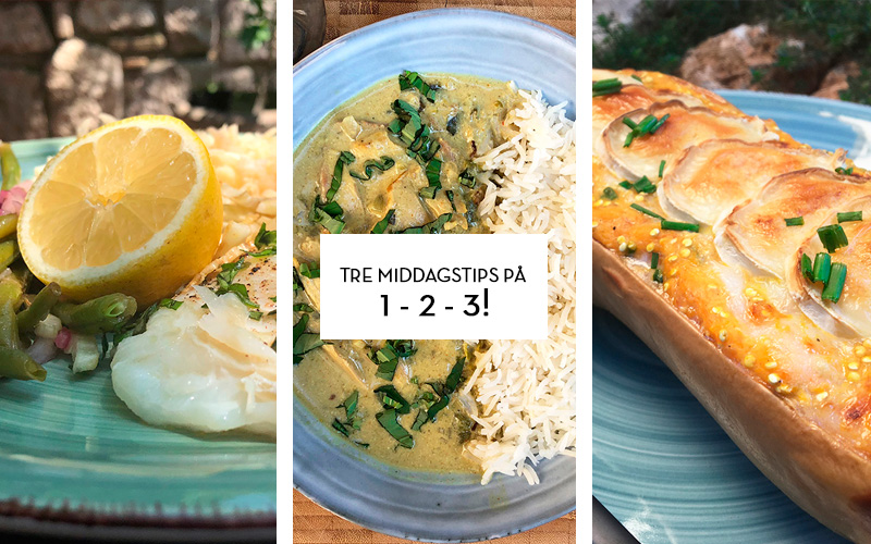 Tre middagstips på 1-2-3!