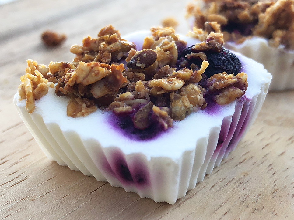 Fryste yoghurtbiter med blåbær og granola