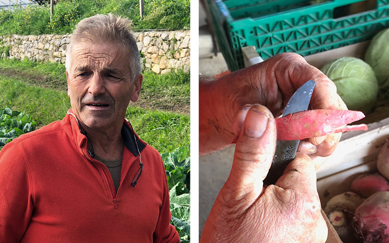 Min egen biodynamiske bonde