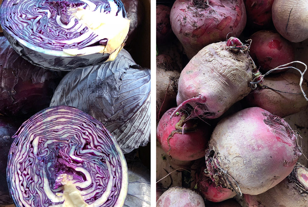 Min egen biodynamiske bonde