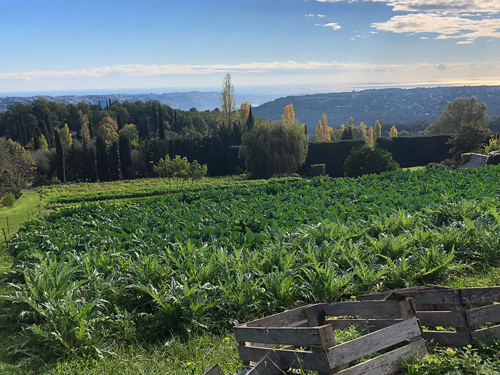 Min egen biodynamiske bonde