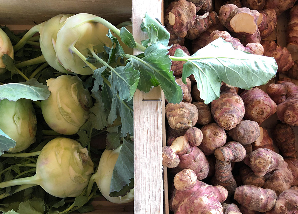 Min egen biodynamiske bonde