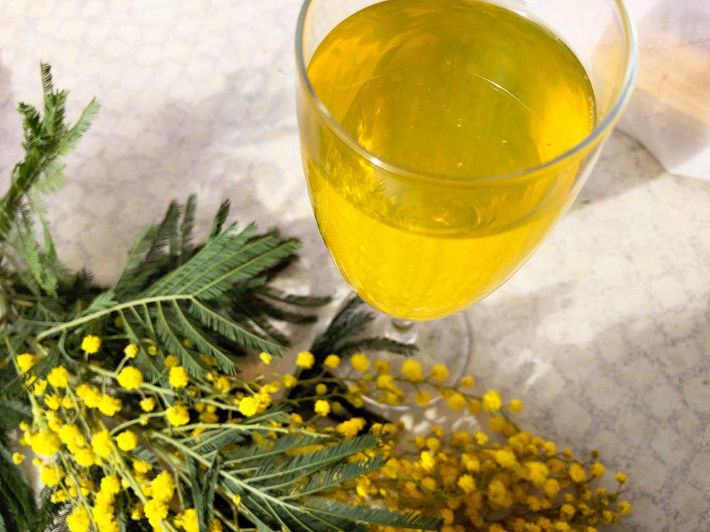 Fete du mimosa - Tanneron