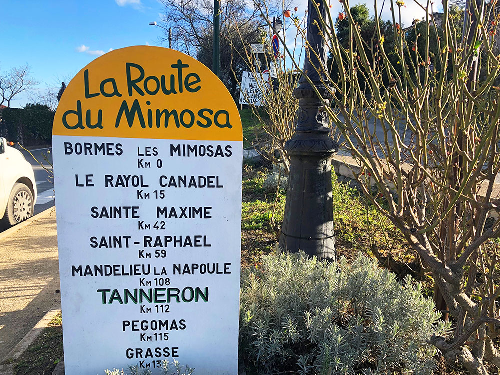 Fete du mimosa - Tanneron