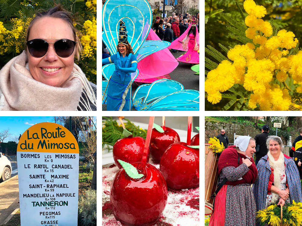 Fete du mimosa - Tanneron