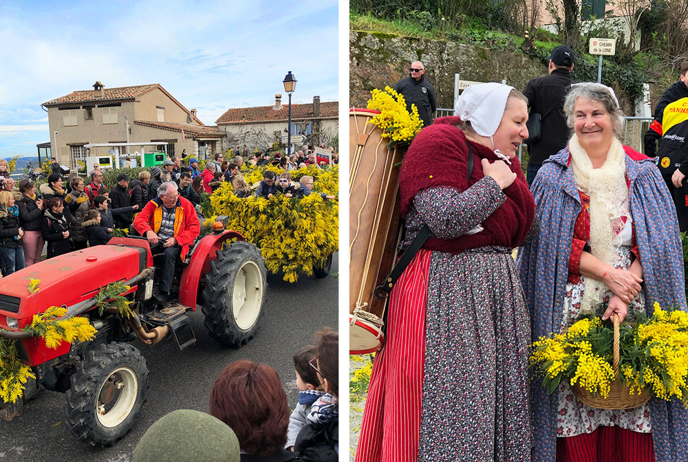 Fete du mimosa - Tanneron