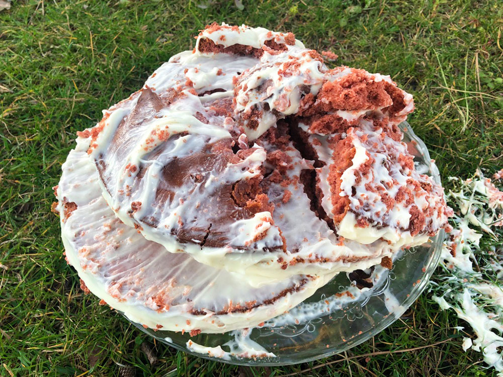 EVA i PROVENCE fyller 1 år!