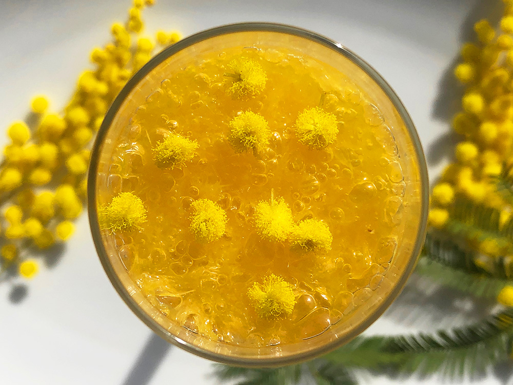 Coctail Mimosa 