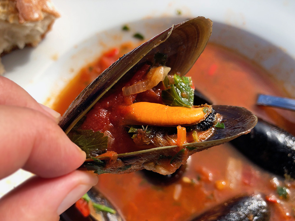 Blåskjell i spicy tomatsaus