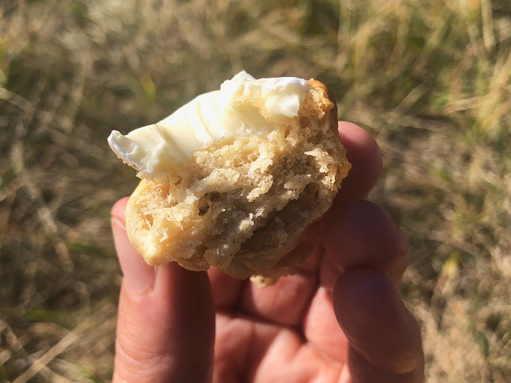 Pinnebrød og piknik