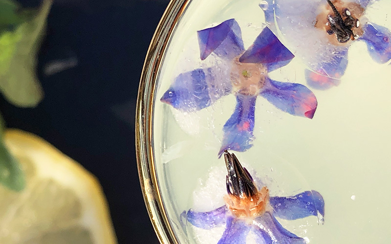 Hjemmelaget limonade med mynte