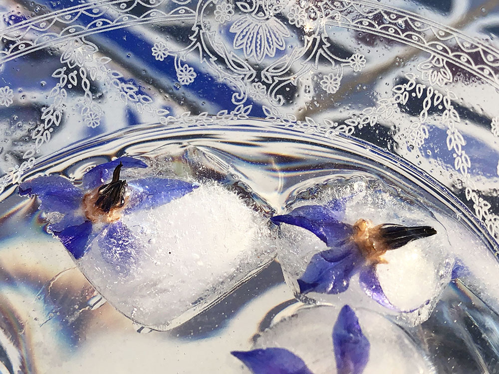 Søte isbiter som smelter ethvert hjerte!