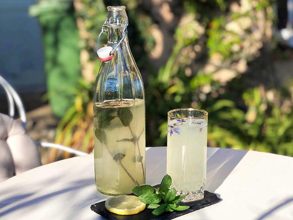 Hjemmelaget limonade med mynte