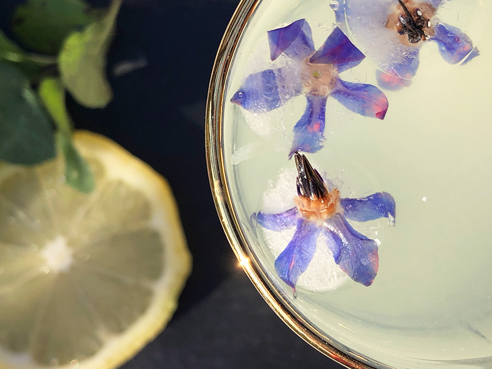 Hjemmelaget limonade med mynte