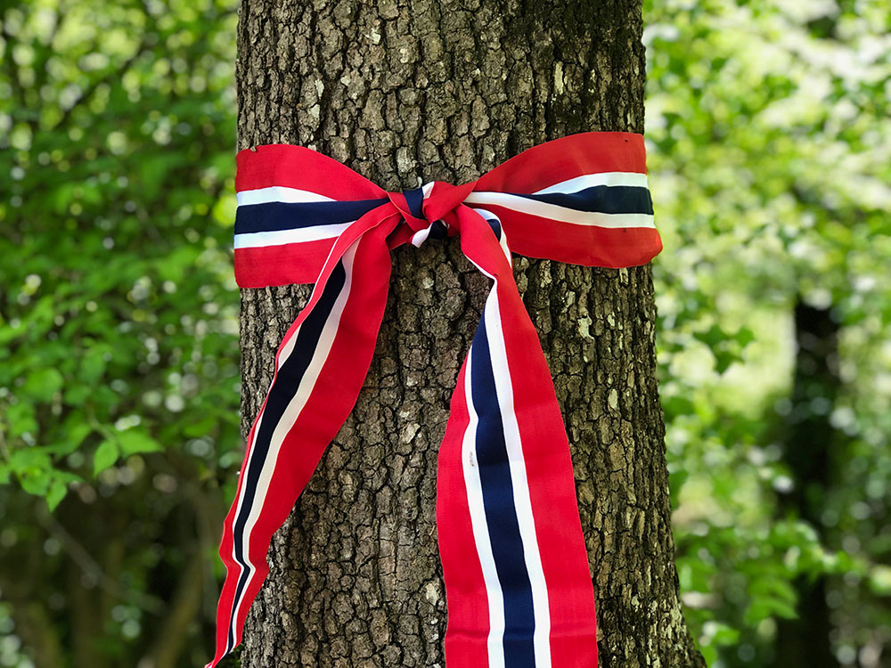 17 mai Norges nasjonaldag 2019
