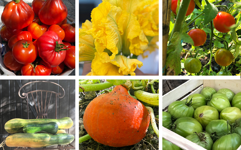 Grønnsakshagen 2018