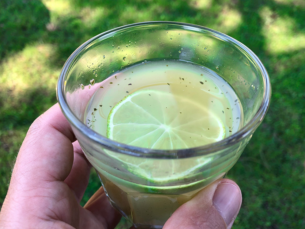 Detoxjuice – Grønn og skjønn!