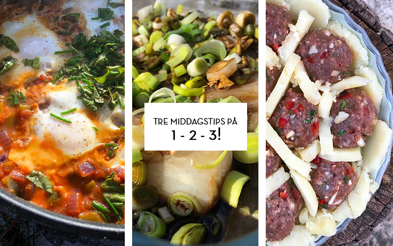 Tre middagstips på 1-2-3