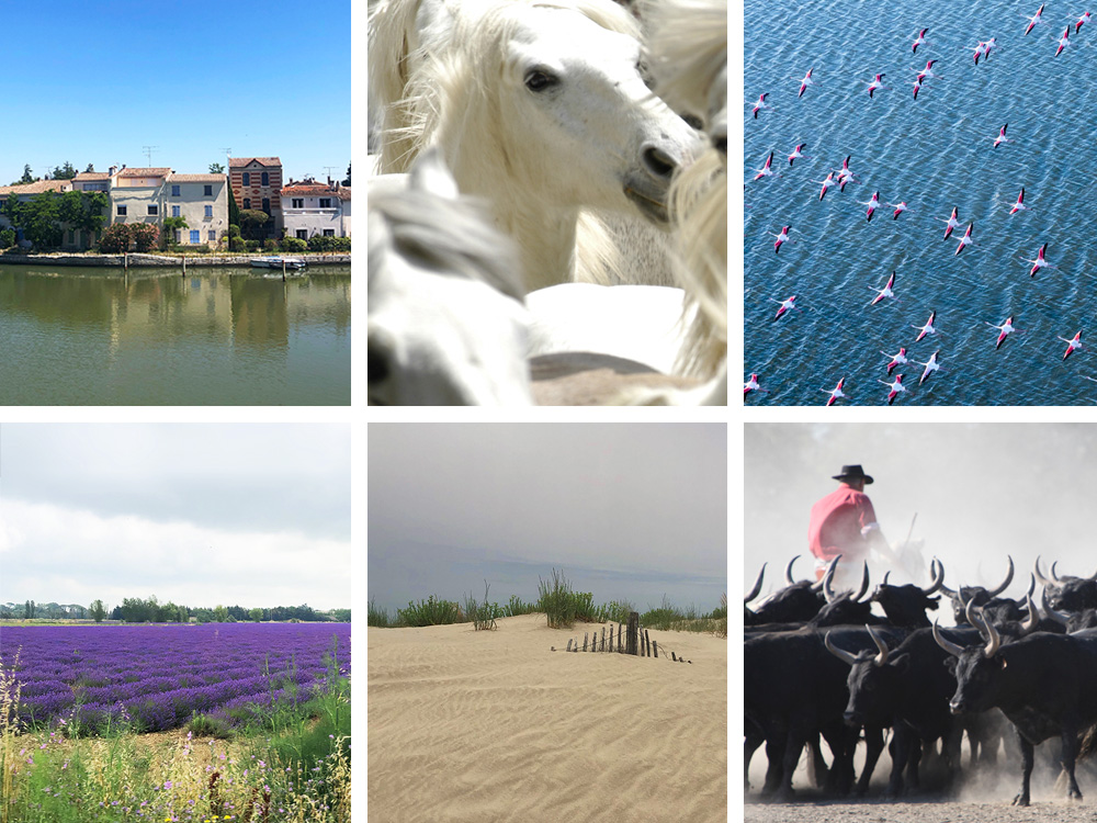 Magiske Camargue