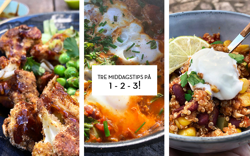 Tre middagstips på 1-2-3!