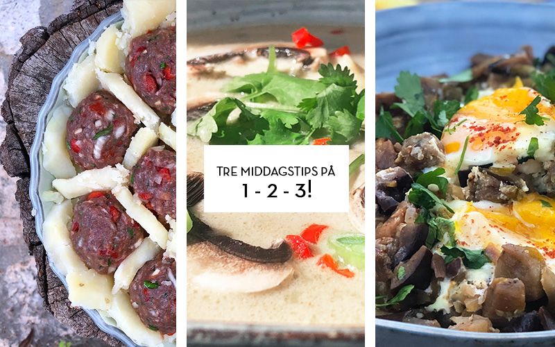 Tre middagstips på 1-2-3!