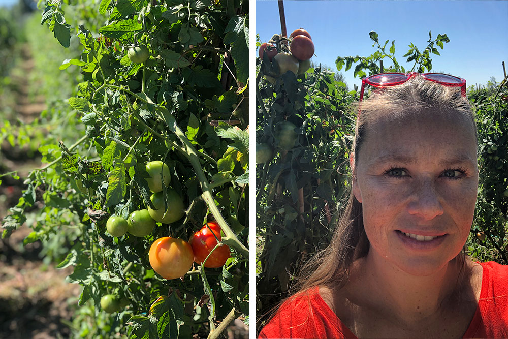 Lykkelig i tomatåker´n!