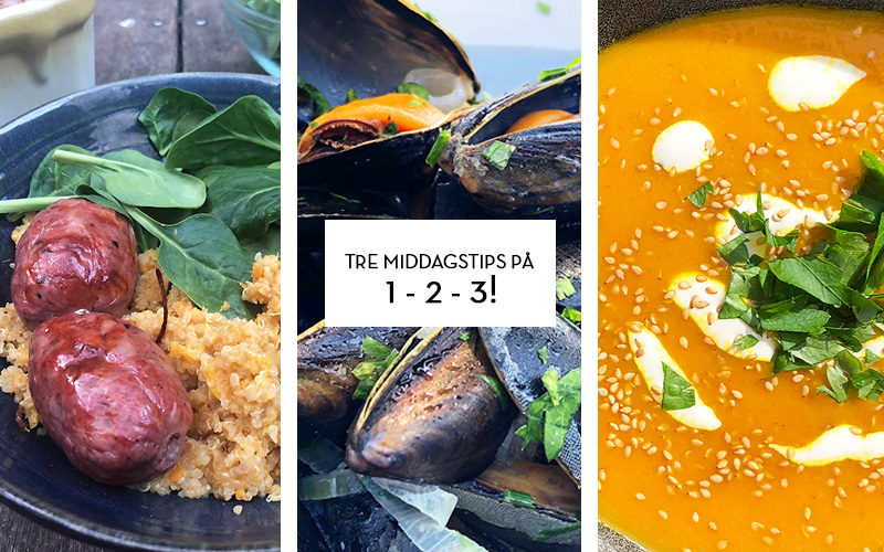 Tre middagstips på 1-2-3!