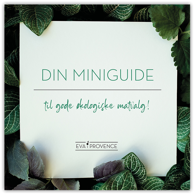 Økologisk miniguide